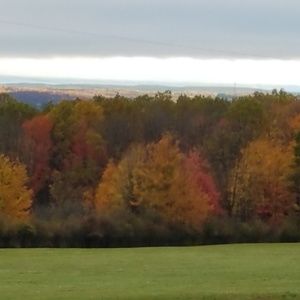 Meet your Posher, Cherie